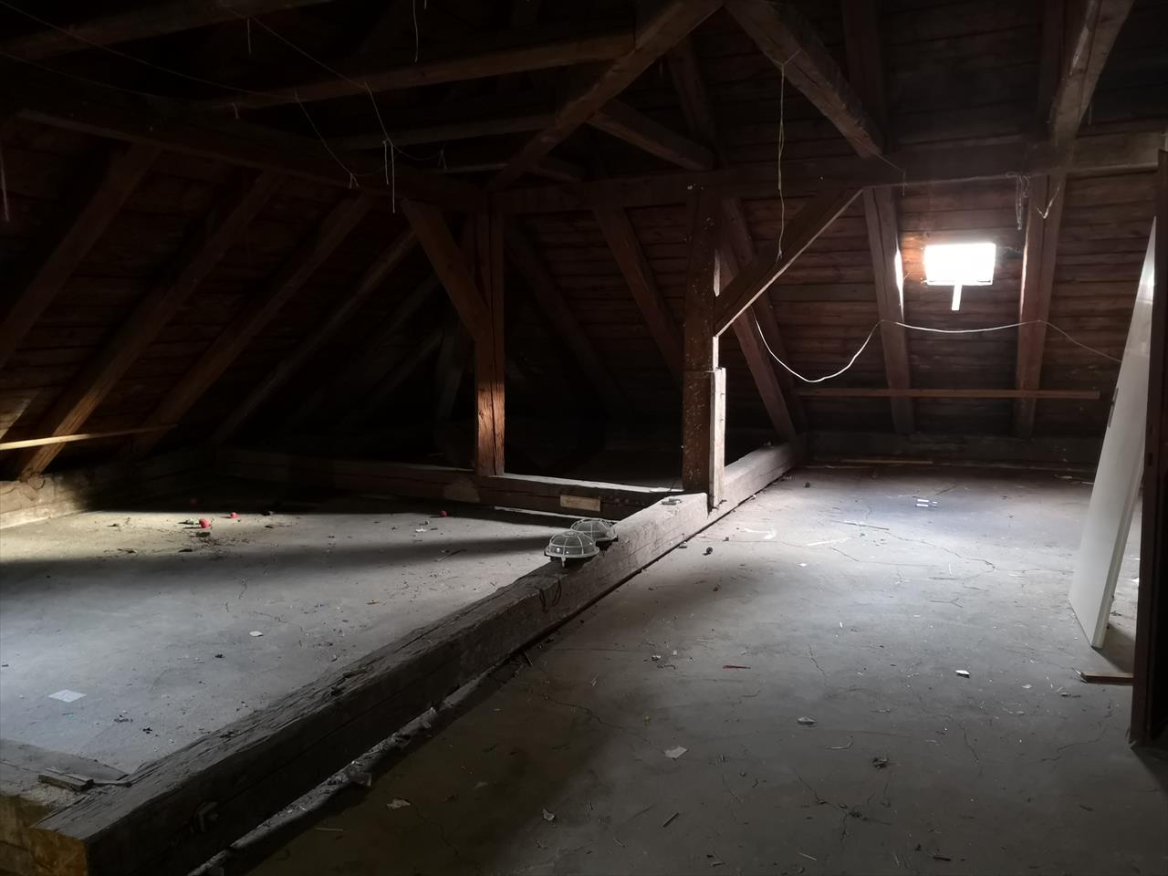 obrázek ke článku