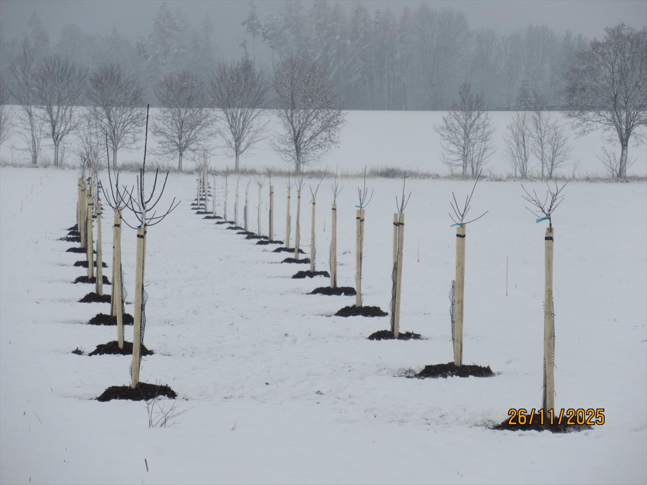 obrázek ke článku