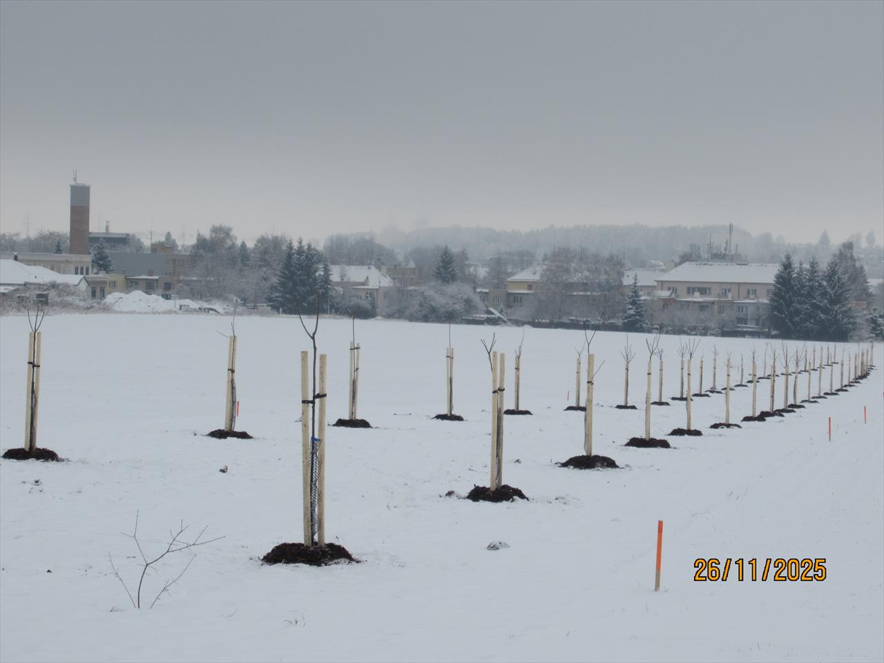 obrázek ke článku