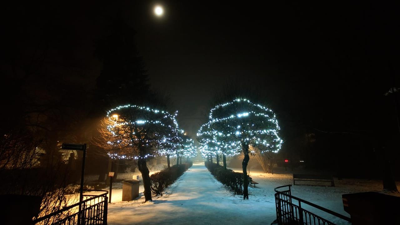 obrázek ke článku