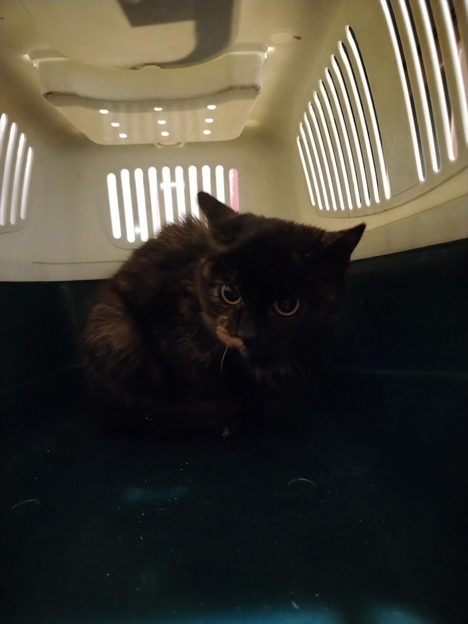 obrázek ke článku