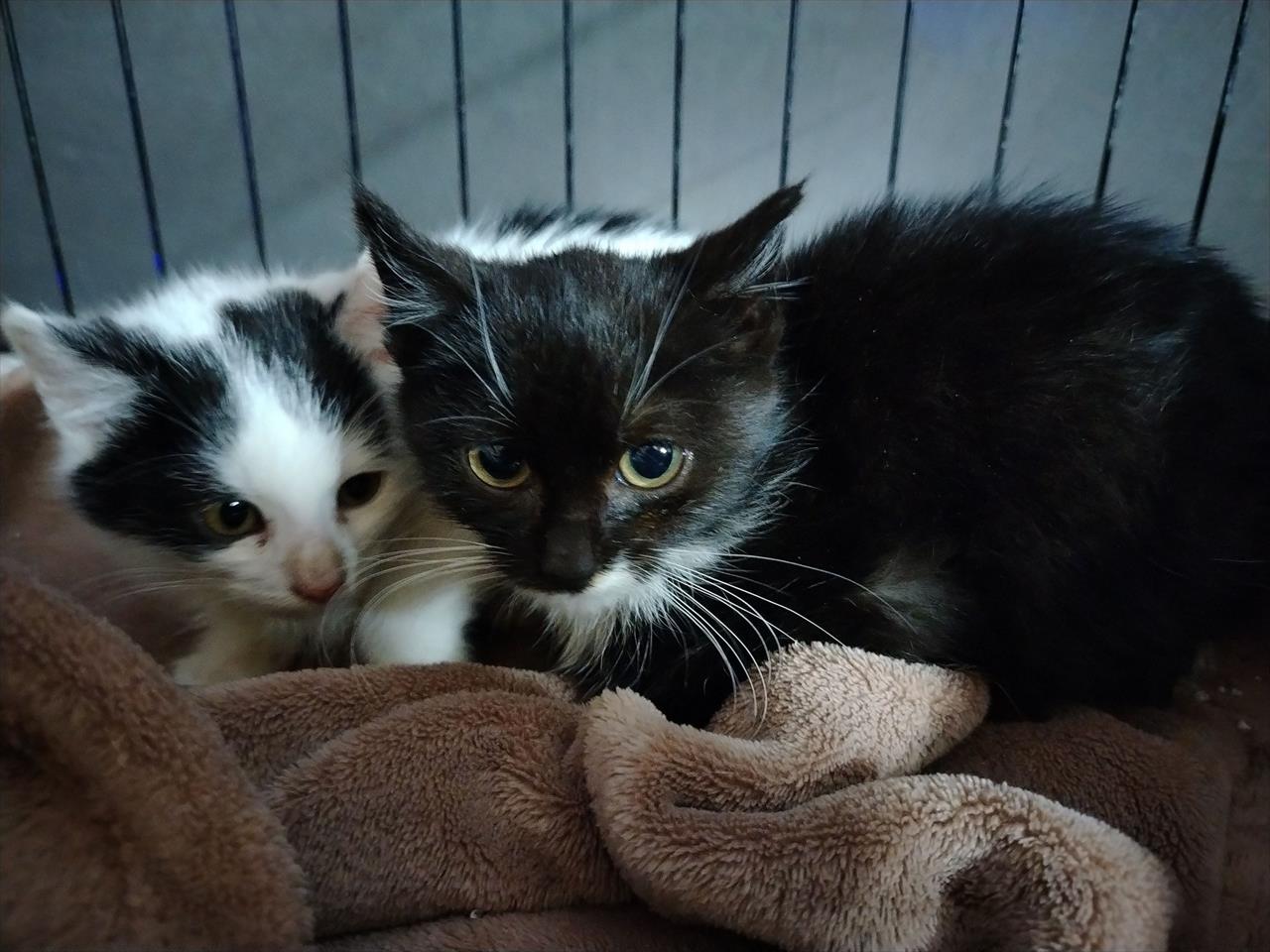 obrázek ke článku