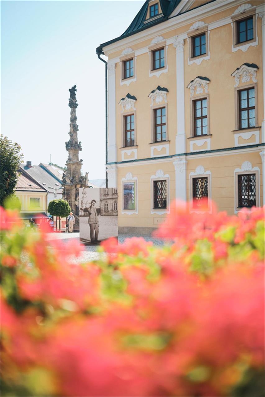 obrázek ke článku