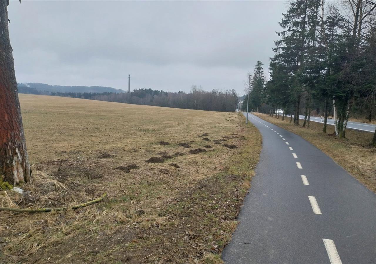 obrázek ke článku