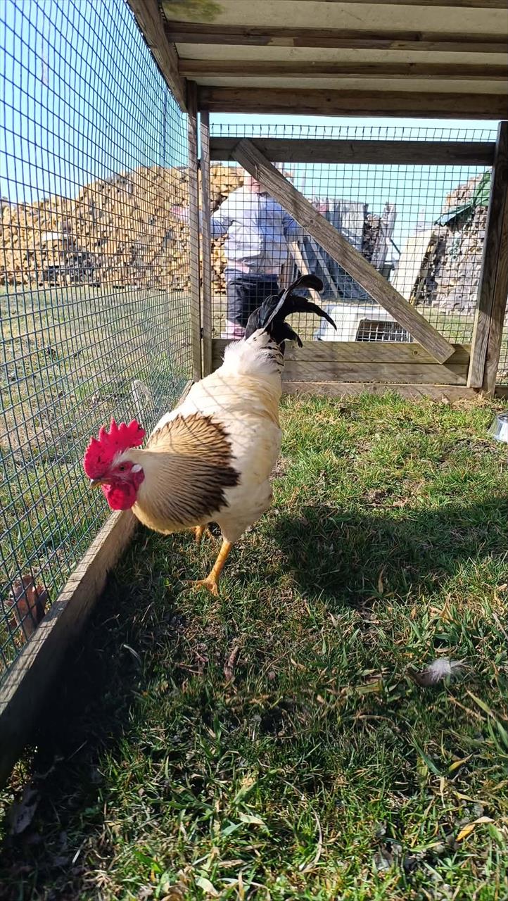 obrázek ke článku