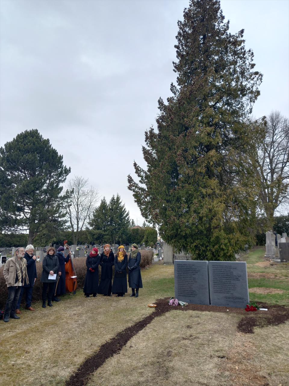 obrázek ke článku