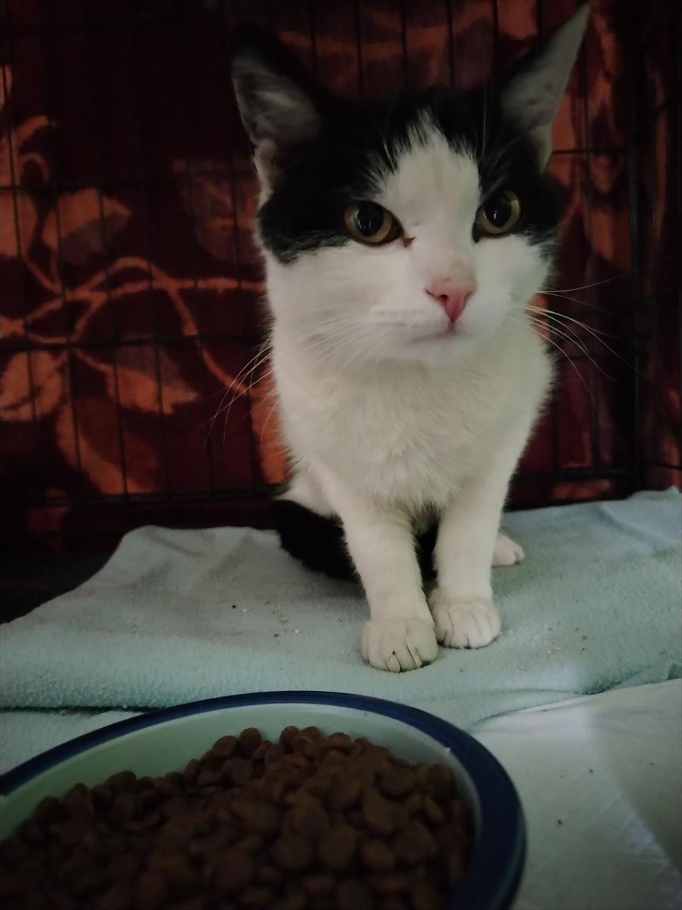 obrázek ke článku