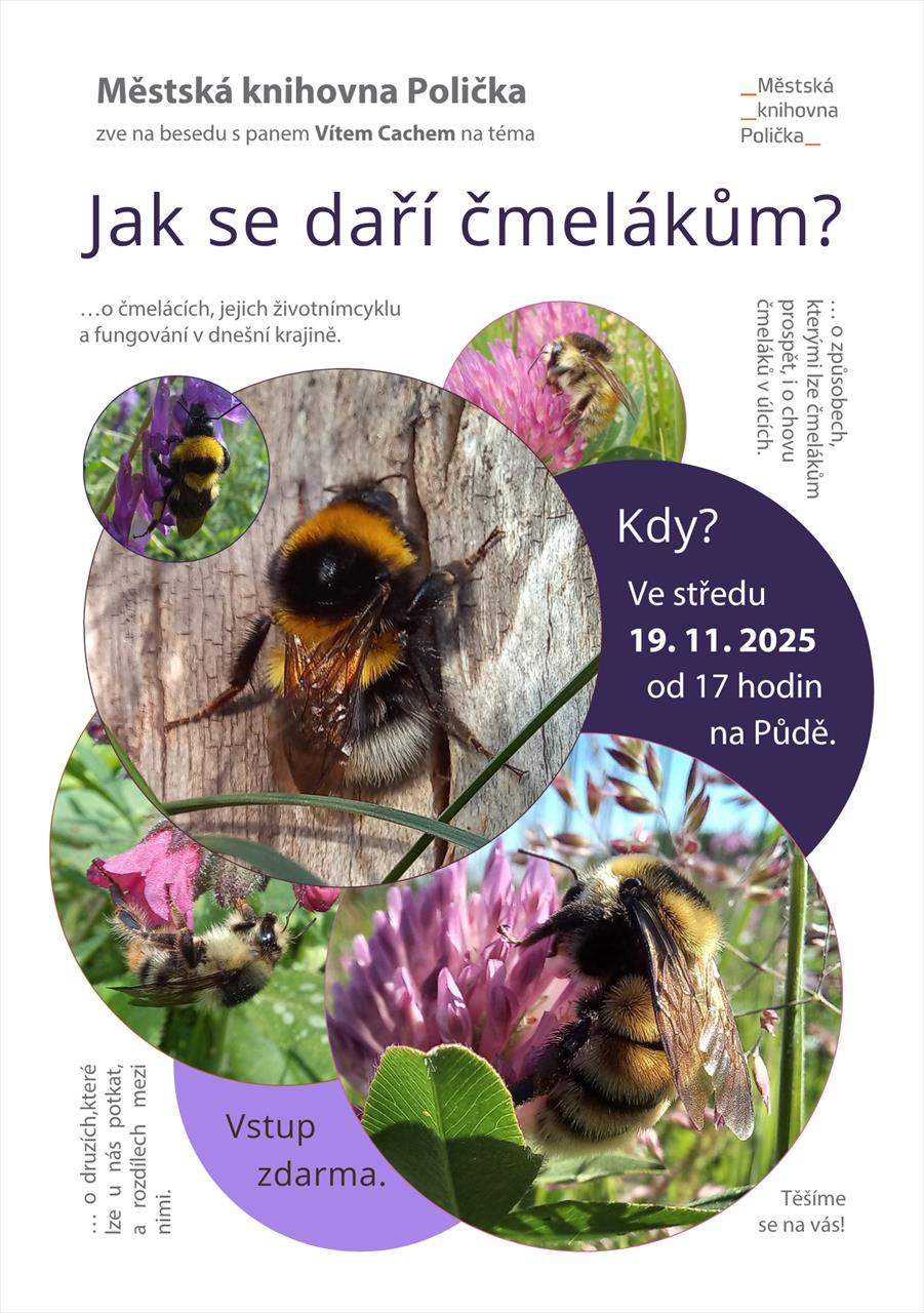 obrázek ke článku