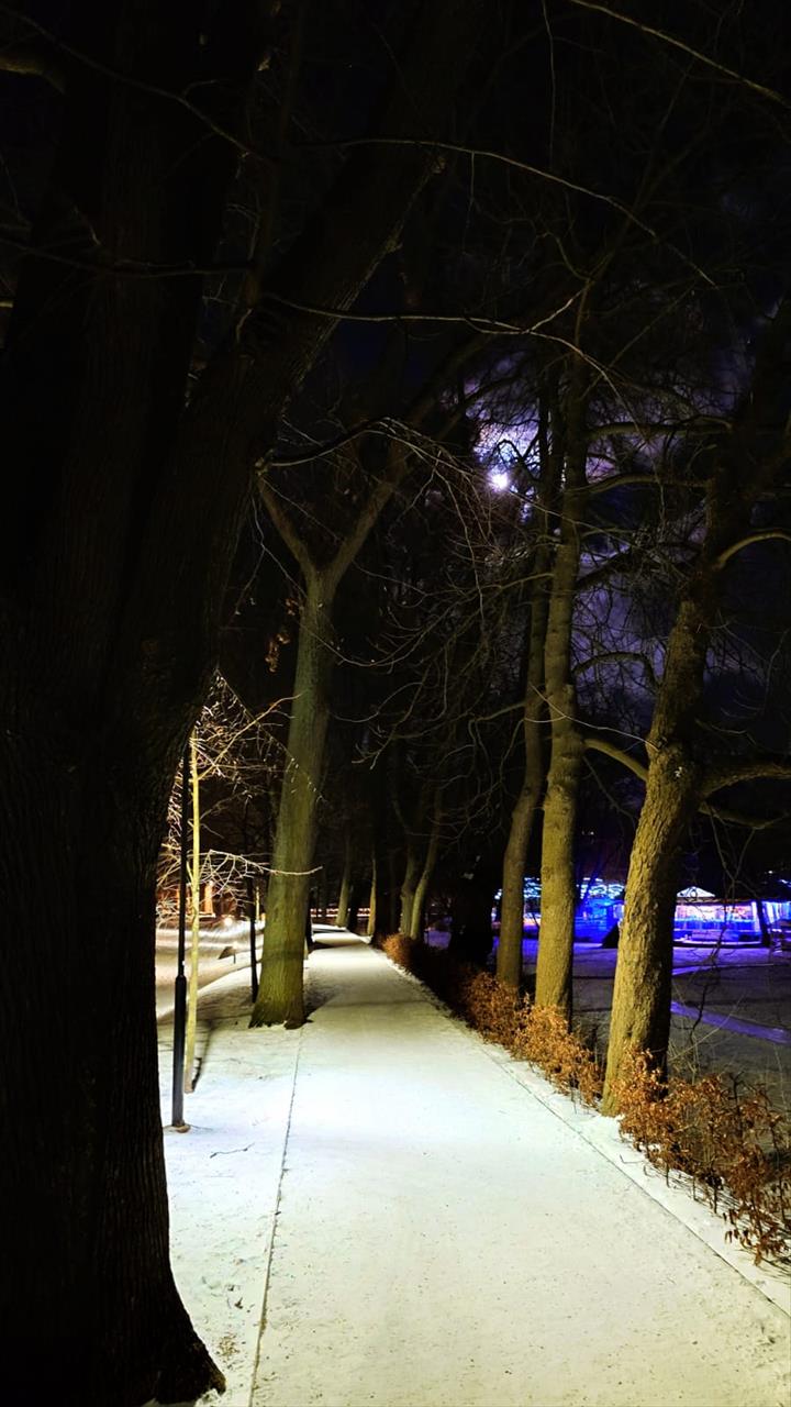 obrázek ke článku