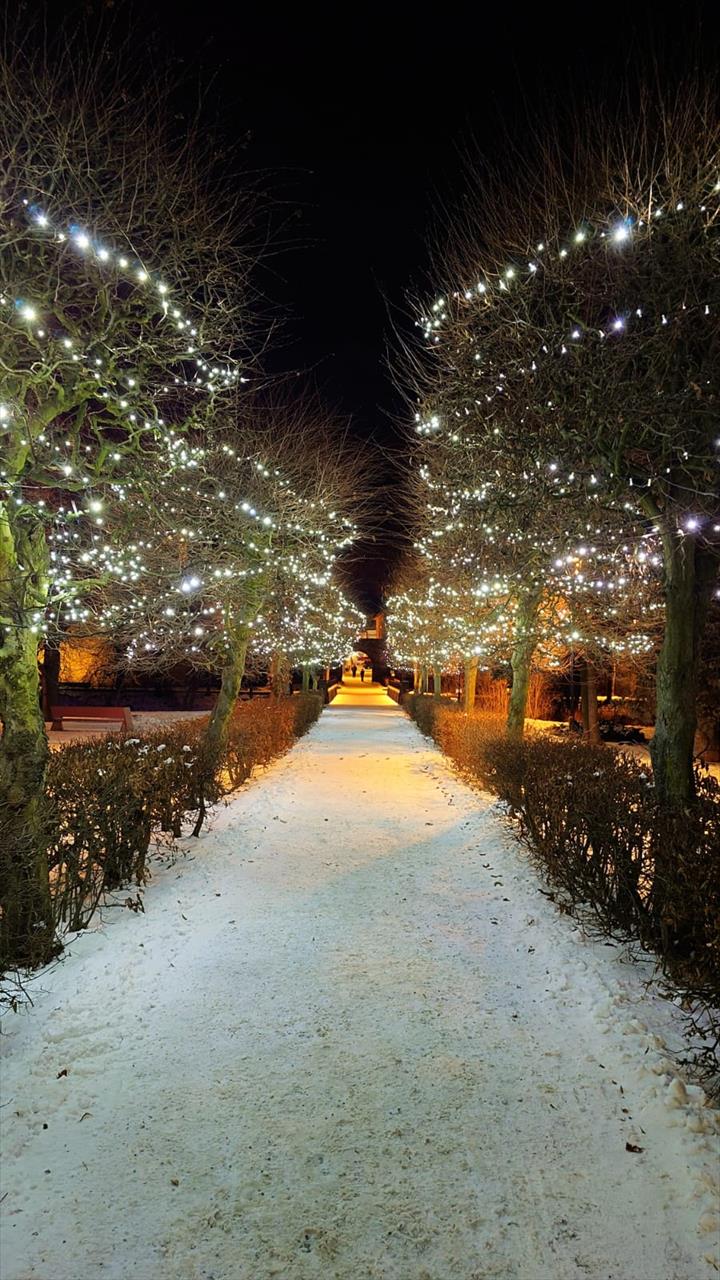 obrázek ke článku