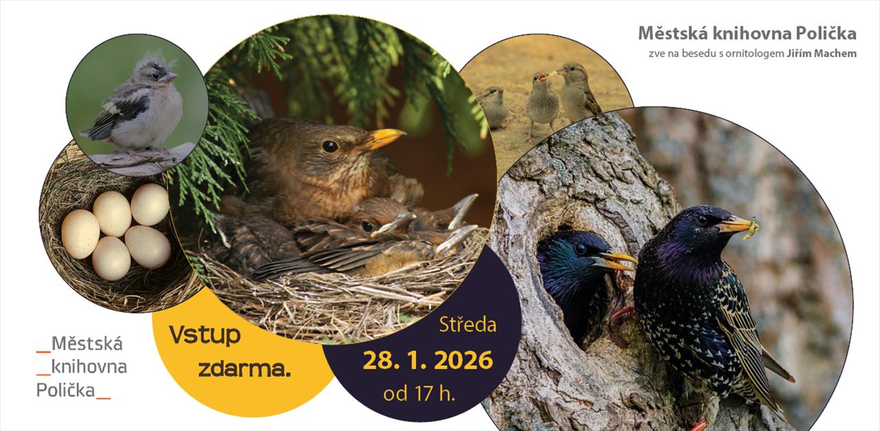 obrázek ke článku