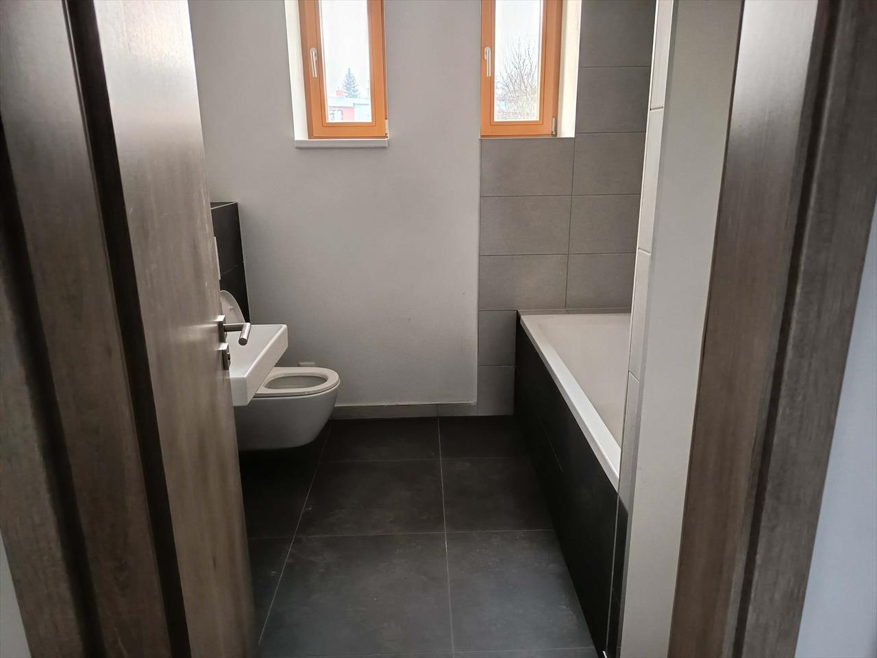 obrázek ke článku