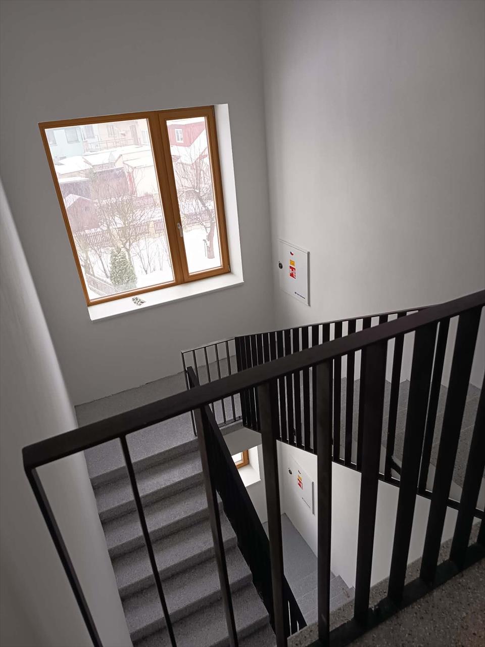 obrázek ke článku