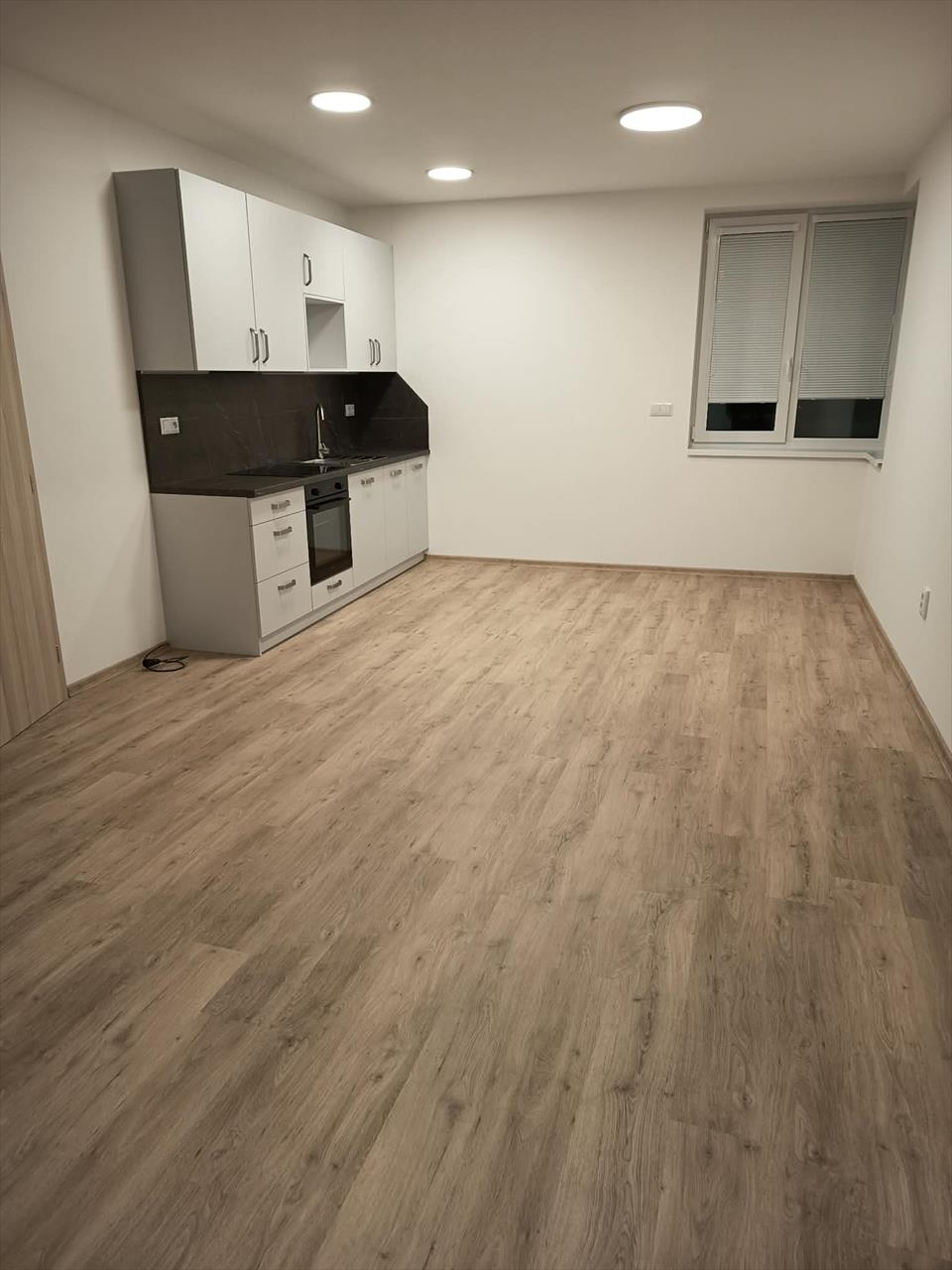 obrázek ke článku