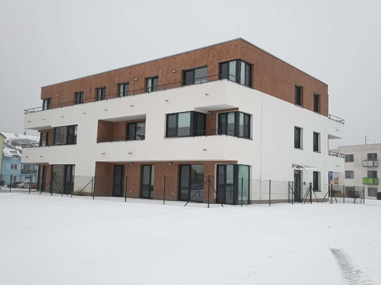 obrázek ke článku