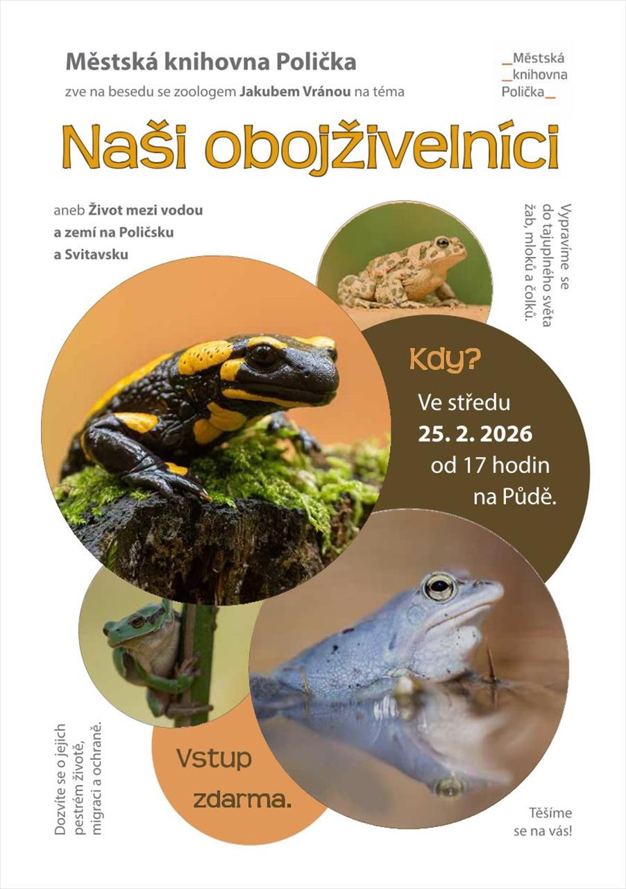 obrázek ke článku