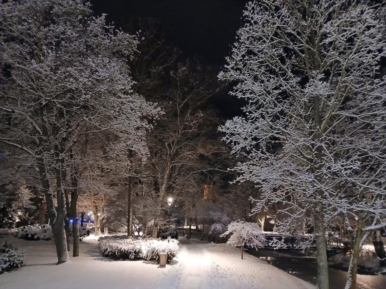 obrázek ke článku