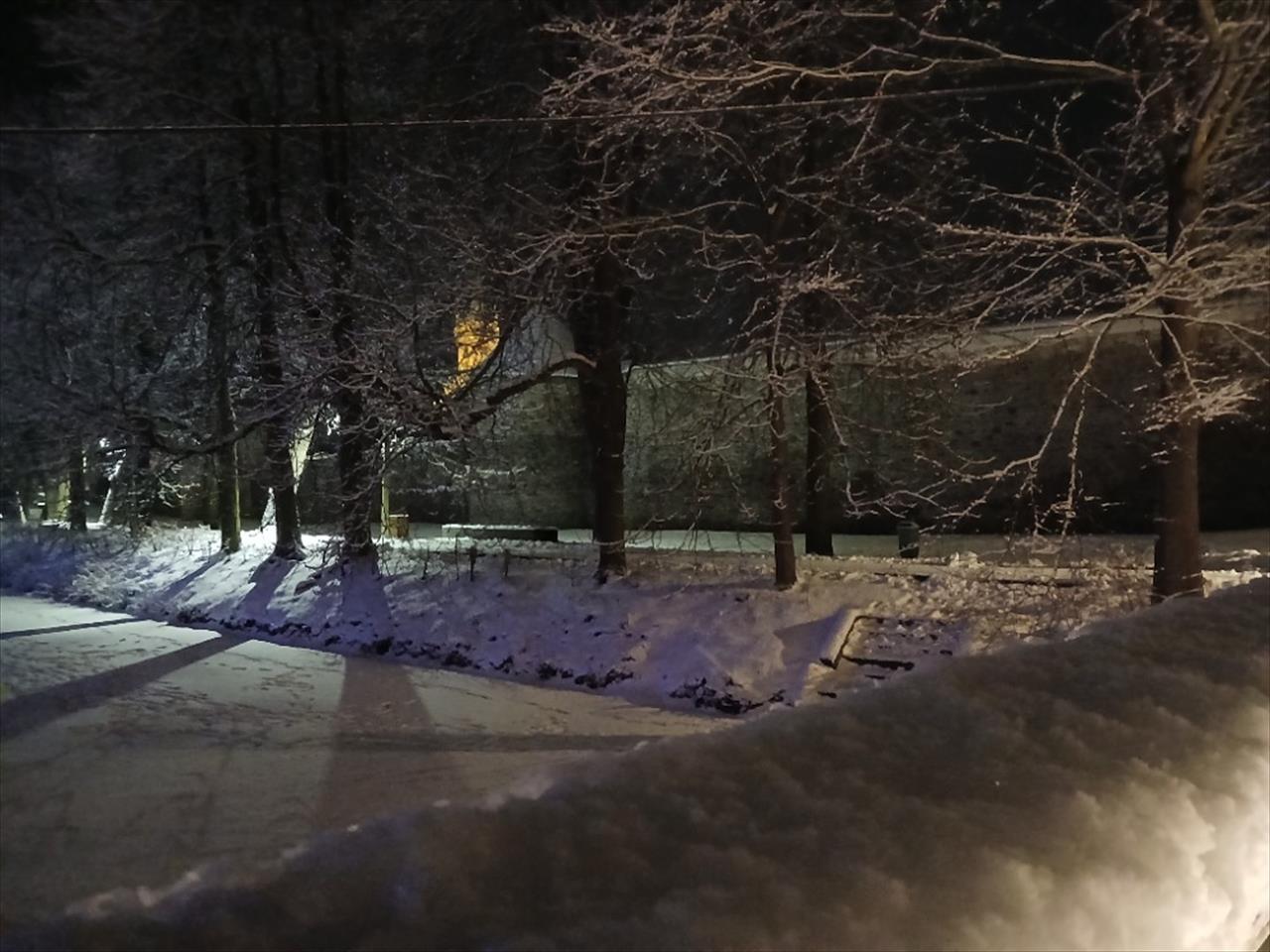 obrázek ke článku