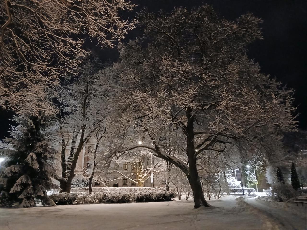 obrázek ke článku