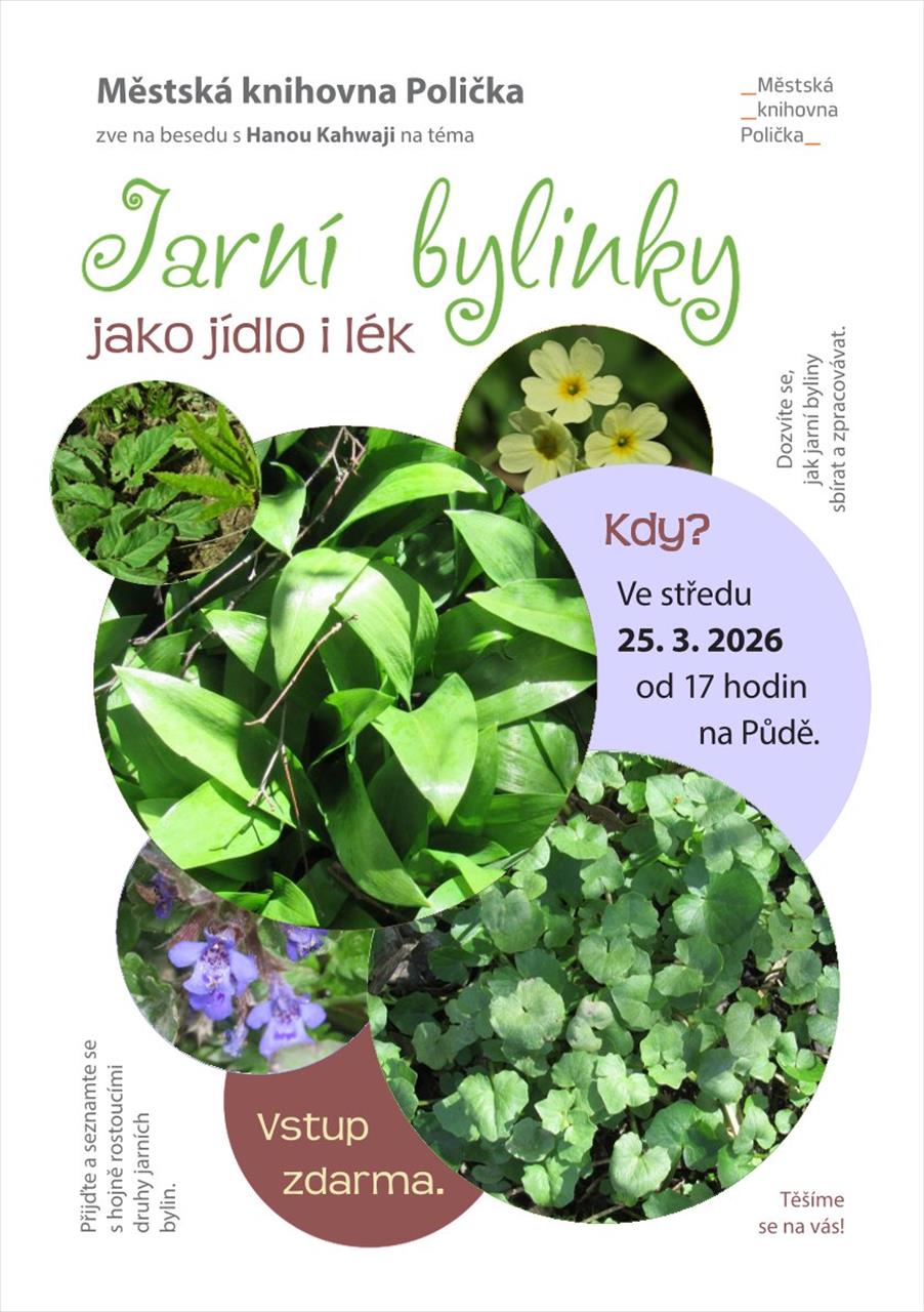 obrázek ke článku