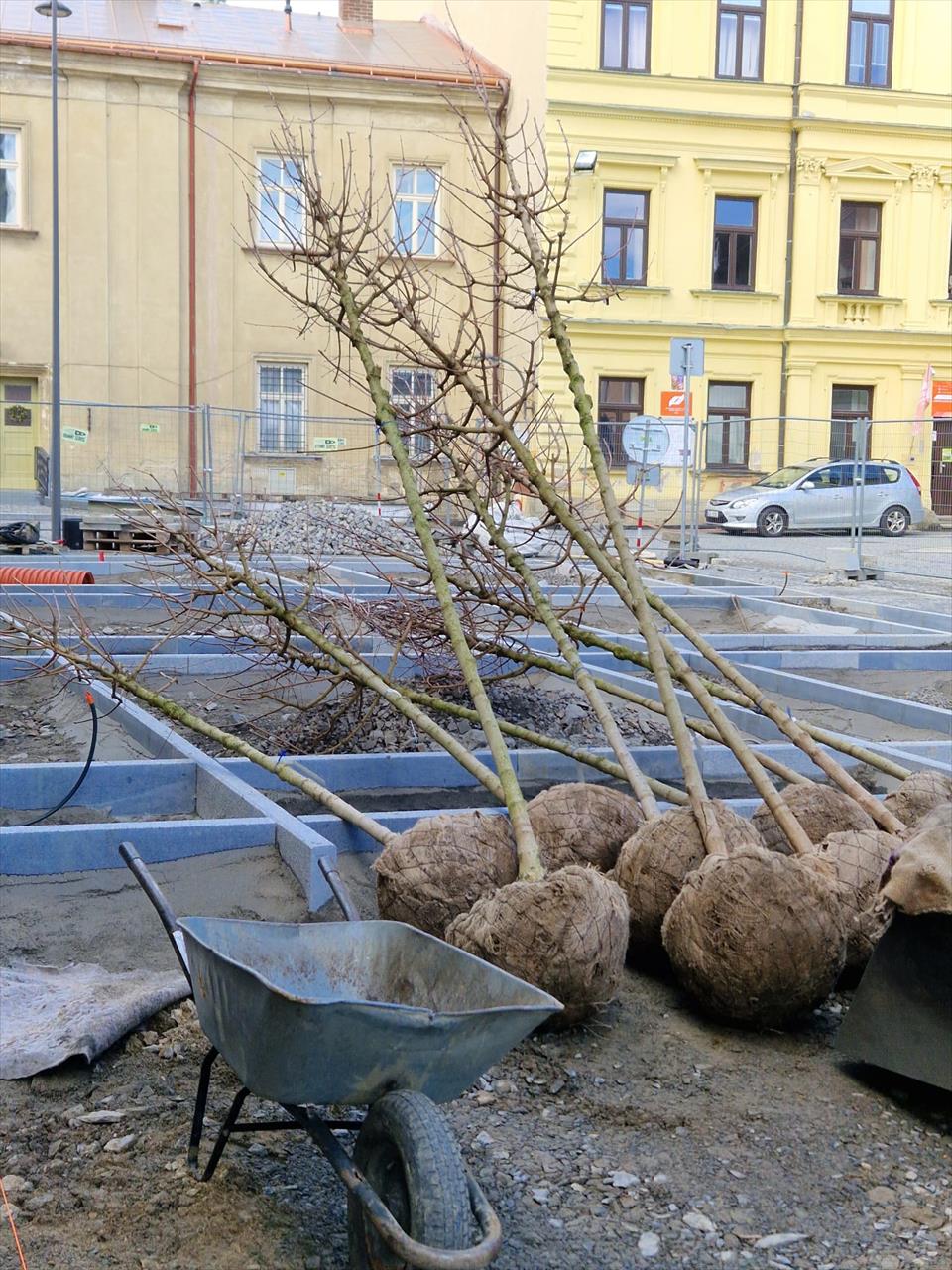 obrázek ke článku