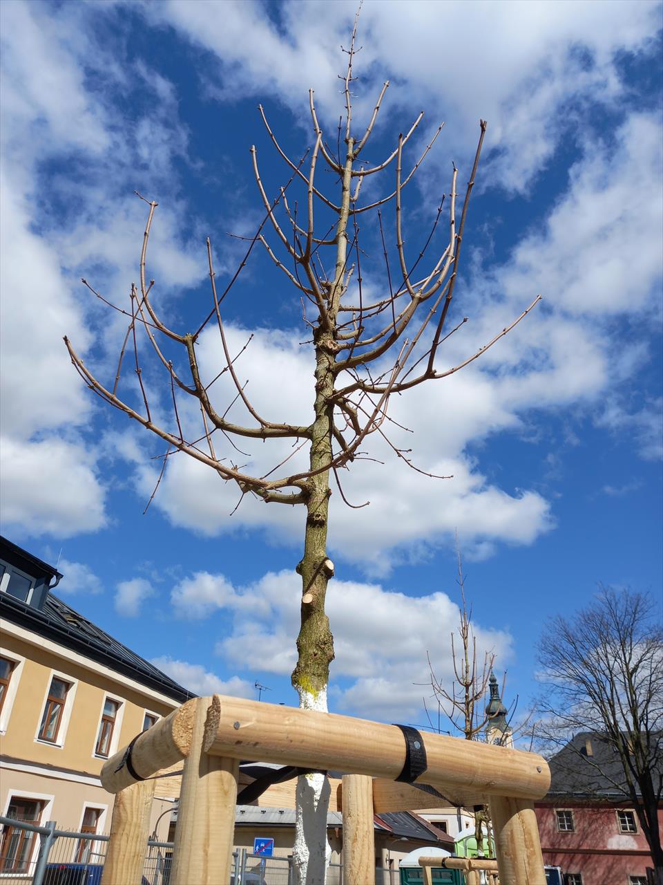 obrázek ke článku