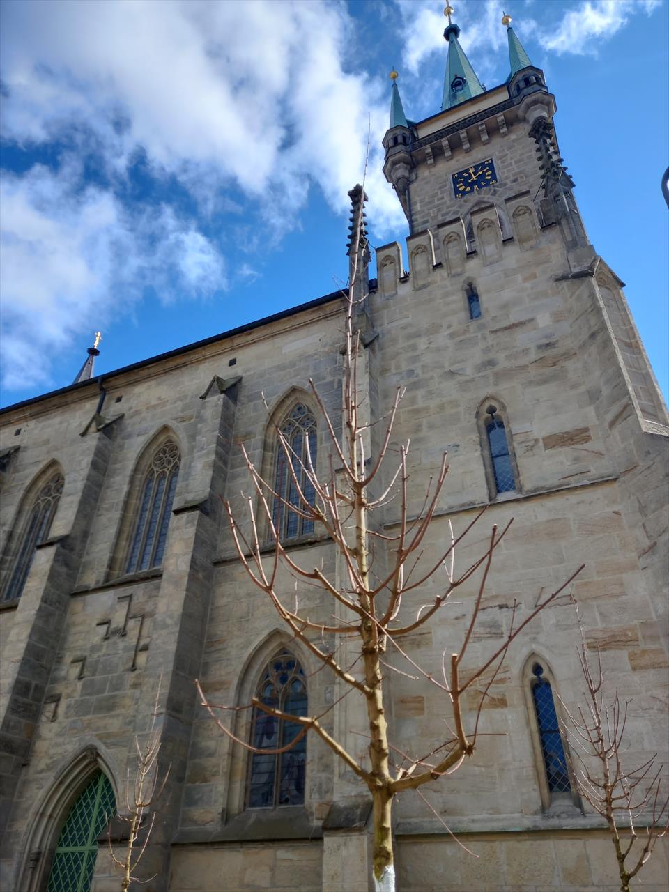 obrázek ke článku