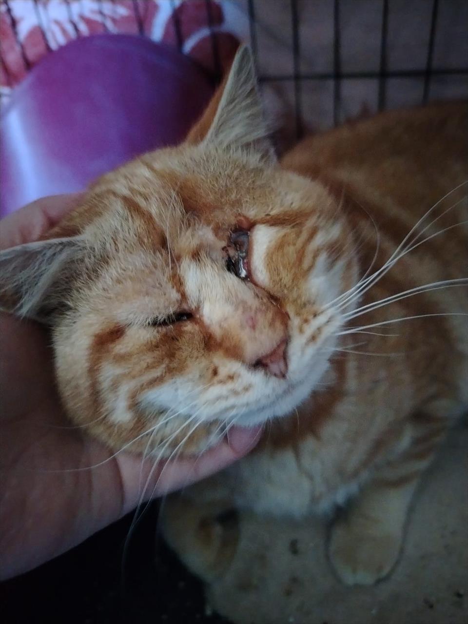 Úvodní fotografie ke článku