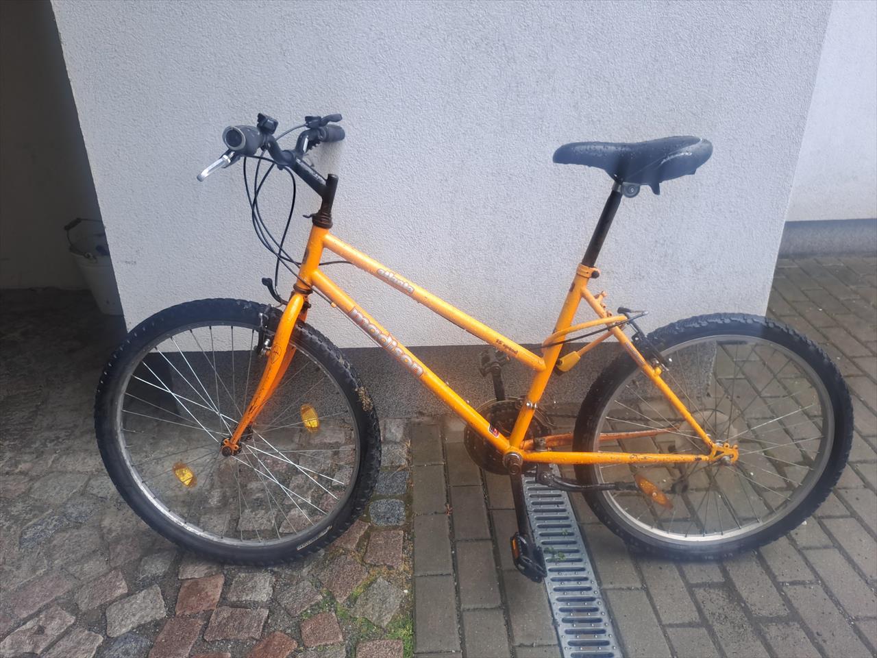 obrázek ke článku