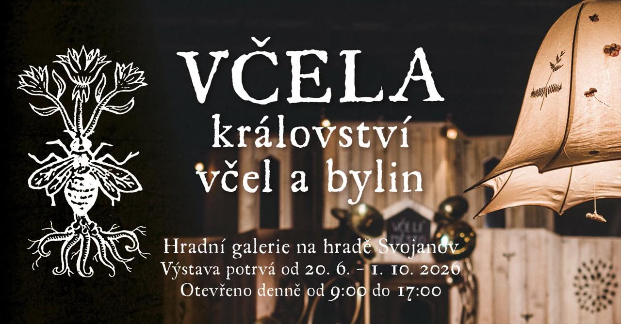 obrázek ke článku